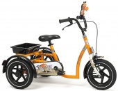 Велосипед для детей с ДЦП  Safari